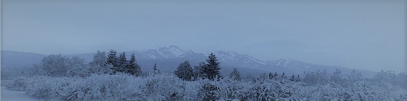 �Ƃ���R���[�Q�� �p�b�`���~�X�g���T�C�g